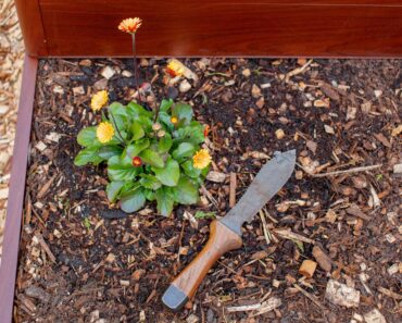My Husband Is a Professional Gardener, and These Are the 3 Tools He Never Starts a Job Without