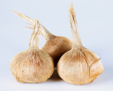 Plant These $1 Bulbs in Your Lawn Now For Drifts of Pretty Fall Flowers