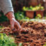 Plant These 6 Bulbs in September for Enchanting Flowers that Appear Like Magic Through Fall