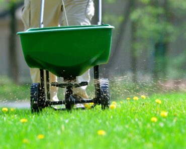 September is the Time to Start Fertilizing Your Cool-Season Lawn – Don’t Make These 4 Fertilizing Mistakes