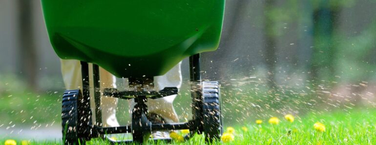 September is the Time to Start Fertilizing Your Cool-Season Lawn – Don’t Make These 4 Fertilizing Mistakes September is the Time to Start Fertilizing Your Cool-Season Lawn – Don’t Make These 4 Fertilizing Mistakes