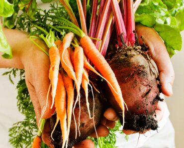 Stop Growing These 6 Vegetables in the Ground – They Grow Better in Containers for Longer, Tastier Harvests Stop Growing These 6 Vegetables in the Ground – They Grow Better in Containers for Longer, Tastier Harvests