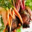 Stop Growing These 6 Vegetables in the Ground – They Grow Better in Containers for Longer, Tastier Harvests