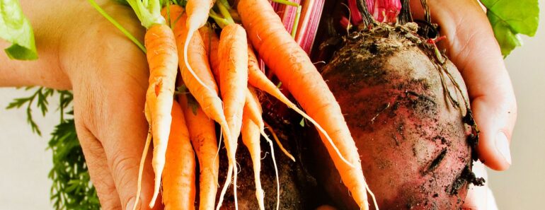 Stop Growing These 6 Vegetables in the Ground – They Grow Better in Containers for Longer, Tastier Harvests Stop Growing These 6 Vegetables in the Ground – They Grow Better in Containers for Longer, Tastier Harvests