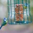 Tired of Bully Birds Taking Over Your Feeders? Try These 3 Ways to Create a Songbird-Only Station