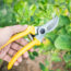 Want to Grow More Plants for Free? These 3 Affordable Seed Saving Tools From Amazon Are All You Need