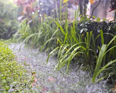 Watch Your Garden Drainage This Fall – A Lawyer Explains How These Common Mistakes Might Make You Liable for Your Neighbor’s Flooded Yard
