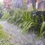 Watch Your Garden Drainage This Fall – A Lawyer Explains How These Common Mistakes Might Make You Liable for Your Neighbor’s Flooded Yard