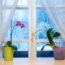 What Orchids Need in September – 6 Tasks That Decide Whether You Get Flowers This Winter