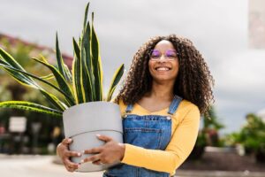 What Snake Plants Need in September – Do These 6 Things Before Cold Weather Settles In