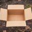 7 Household Trash Items You Should Save in Fall to Protect Plants From Frost