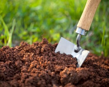 7 Ways to Replenish Your Soil this Fall – Make Time to Improve Yours Before the Ground Cools 7 Ways to Replenish Your Soil this Fall – Make Time to Improve Yours Before the Ground Cools