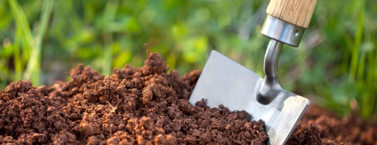 7 Ways to Replenish Your Soil this Fall – Make Time to Improve Yours Before the Ground Cools 7 Ways to Replenish Your Soil this Fall – Make Time to Improve Yours Before the Ground Cools