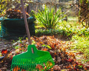 8 Proven Steps to Deter Snakes From Your Garden – and October is the Very Best Time to Take Action