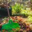 8 Proven Steps to Deter Snakes From Your Garden – and October is the Very Best Time to Take Action