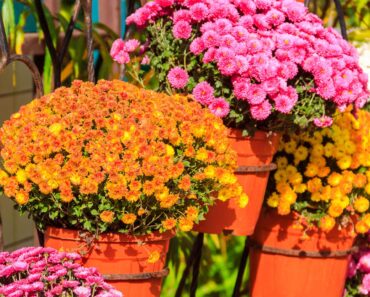 Brittany and Patrick Mahomes’ Fall Porch Proves You Don’t Need Much to Create a Gorgeous Seasonal Display Brittany and Patrick Mahomes’ Fall Porch Proves You Don’t Need Much to Create a Gorgeous Seasonal Display