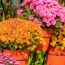 Brittany and Patrick Mahomes’ Fall Porch Proves You Don’t Need Much to Create a Gorgeous Seasonal Display
