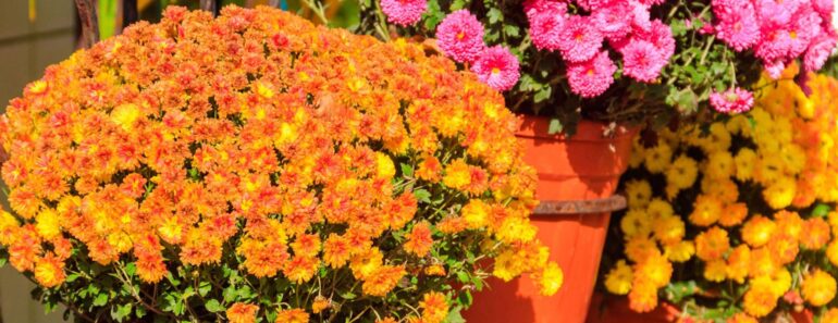 Brittany and Patrick Mahomes’ Fall Porch Proves You Don’t Need Much to Create a Gorgeous Seasonal Display Brittany and Patrick Mahomes’ Fall Porch Proves You Don’t Need Much to Create a Gorgeous Seasonal Display
