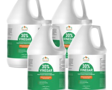 Can You Use Vinegar to Clean Your Deck? Here’s What Experts Say – and What to Use Instead Can You Use Vinegar to Clean Your Deck? Here’s What Experts Say – and What to Use Instead