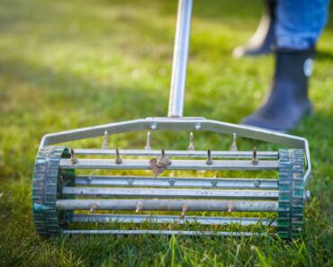 Essential October Lawn Care – Love Your Lawn Now for Lush Looks Next Summer