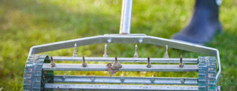 Essential October Lawn Care – Love Your Lawn Now for Lush Looks Next Summer