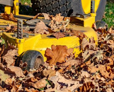 Fallen Leaves Aren’t Just for Mulch – These 7 Clever Uses Save Money and Improve Your Garden