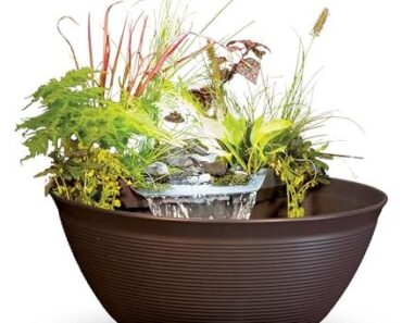 Goldie Hawn’s Fountain Is Surrounded by Plants – and It’s a Masterclass in Planting Around Water Goldie Hawn’s Fountain Is Surrounded by Plants – and It’s a Masterclass in Planting Around Water