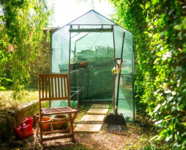 How to Choose the Best Greenhouse – Expert Guide on Buying the Right One for Your Yard How to Choose the Best Greenhouse – Expert Guide on Buying the Right One for Your Yard