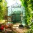 How to Choose the Best Greenhouse – Expert Guide on Buying the Right One for Your Yard