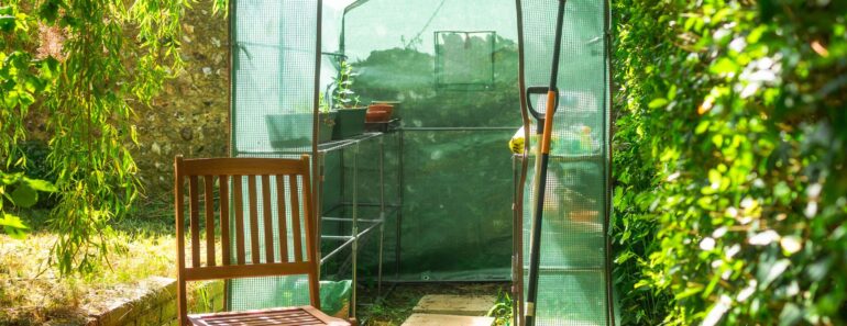 How to Choose the Best Greenhouse – Expert Guide on Buying the Right One for Your Yard How to Choose the Best Greenhouse – Expert Guide on Buying the Right One for Your Yard