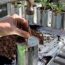 ‘I Always Save Old Tin Cans to Use in My Garden’ – 8 Clever Ways to Turn Trash Into Gardening Gold