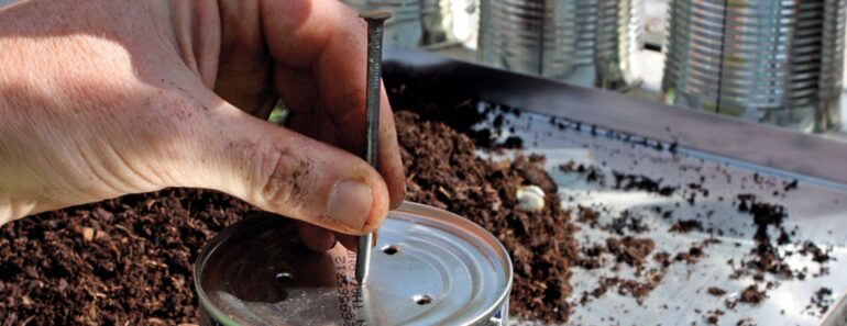 ‘I Always Save Old Tin Cans to Use in My Garden’ – 8 Clever Ways to Turn Trash Into Gardening Gold