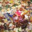 I Never Buy Mulch – These 6 Free Materials From Fall Yard Cleanup Protect Plants All Winter