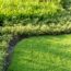 Is Your Grass Seed Taking Too Long to Sprout? Here Are 3 Ways to Speed Things Up