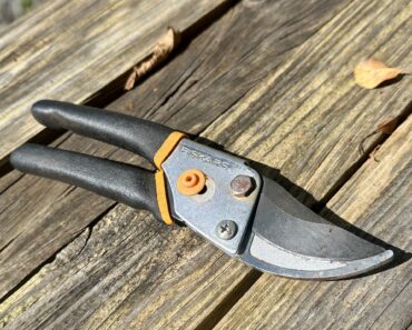 I’ve Used These Fiskars Pruners for 5 Years – They’re the Only Pair I Trust With My Precious Hydrangeas I’ve Used These Fiskars Pruners for 5 Years – They’re the Only Pair I Trust With My Precious Hydrangeas