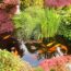 Jennifer Aniston’s Koi Pond Is the Dreamy Garden Luxury You Can Copy on a Small Scale – Fish Optional