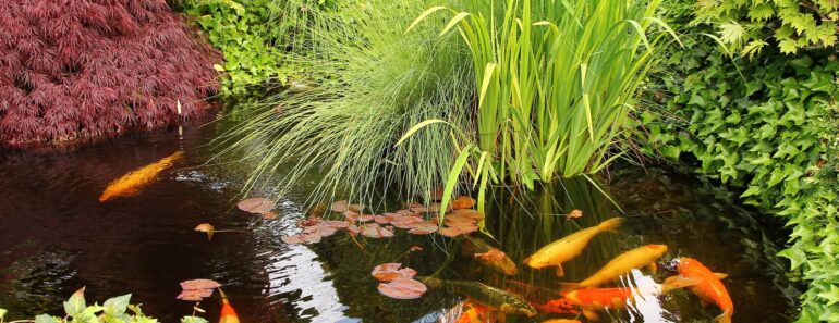 Jennifer Aniston’s Koi Pond Is the Dreamy Garden Luxury You Can Copy on a Small Scale – Fish Optional Jennifer Aniston’s Koi Pond Is the Dreamy Garden Luxury You Can Copy on a Small Scale – Fish Optional
