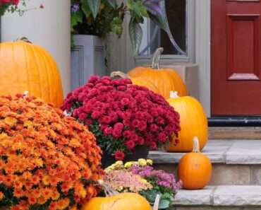 Martha Stewart’s Annual Homegrown Pumpkin Display Is Iconic – and It’s So Easy to Copy It This Fall