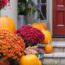 Martha Stewart’s Annual Homegrown Pumpkin Display Is Iconic – and It’s So Easy to Copy It This Fall