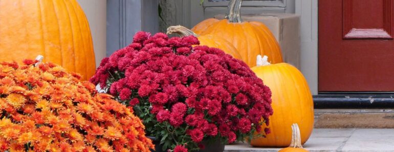 Martha Stewart’s Annual Homegrown Pumpkin Display Is Iconic – and It’s So Easy to Copy It This Fall