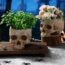 Martha Stewart’s Halloween Flower Trick Turns Fading Garden Blooms Into Something Spooktacularly Chic