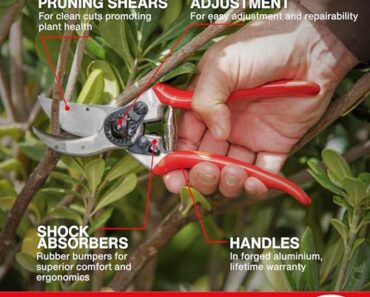 Michelle Obama’s Twig Tree Is Perfect For The Holidays – Here’s How To Make Your Own From Garden Cuttings