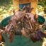 Neighbor’s Tree Dumping Leaves All Over Your Yard? A Lawyer Explains Who Has to Clean Up the Mess