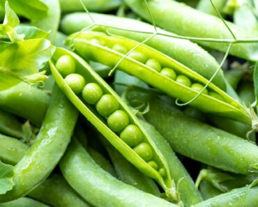 One Raised Bed, 7 Compact Crops – How to Start Growing Your Own Vegetables in October One Raised Bed, 7 Compact Crops – How to Start Growing Your Own Vegetables in October