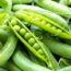 One Raised Bed, 7 Compact Crops – How to Start Growing Your Own Vegetables in October