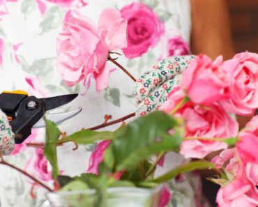Pamela Anderson’s Fall Cleanup Video Is a Reminder to Tackle These 2 Garden Jobs Now