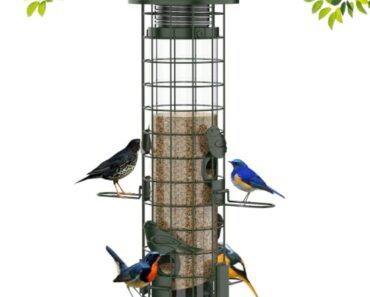 Squirrels Don’t Like These 3 Types of Bird Seed – Fill Your Feeders and Watch Songbirds Flock In