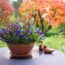 The Quick Trick That Keeps Potted Plants Alive Through Fall and Winter – and it Only Takes 5 Minutes