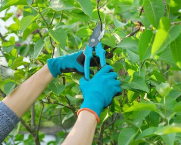 These 7 Fall Cleanup Mistakes Could Ruin Next Year’s Garden – Here’s What to Do Instead