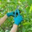These 7 Fall Cleanup Mistakes Could Ruin Next Year’s Garden – Here’s What to Do Instead